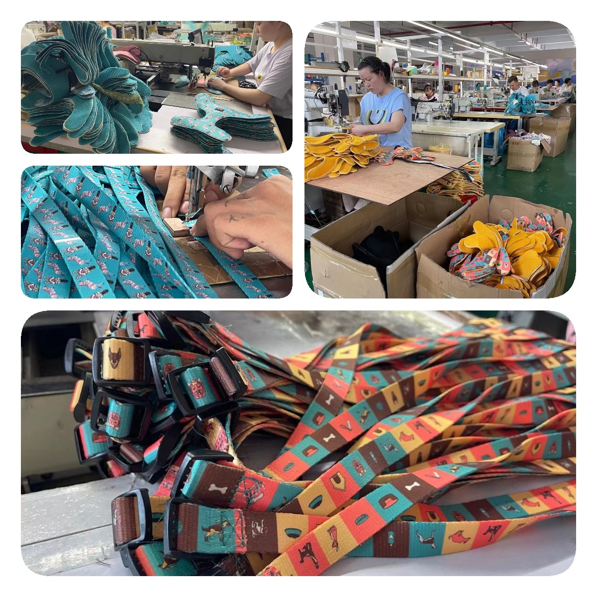 Zgardă de dresaj personalizată Okeypets, ușor de curățat, cu chingă acoperită cu poliuretan TPU 16