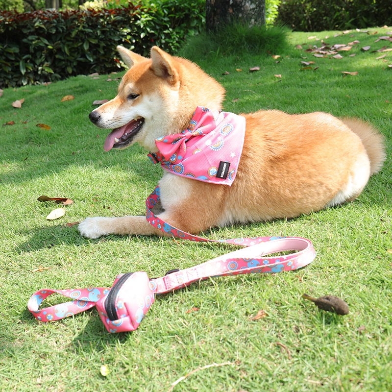 Okeypets propose en gros des colliers, écharpes et laisses pour chiens avec porte-sacs à déjections canines. 10