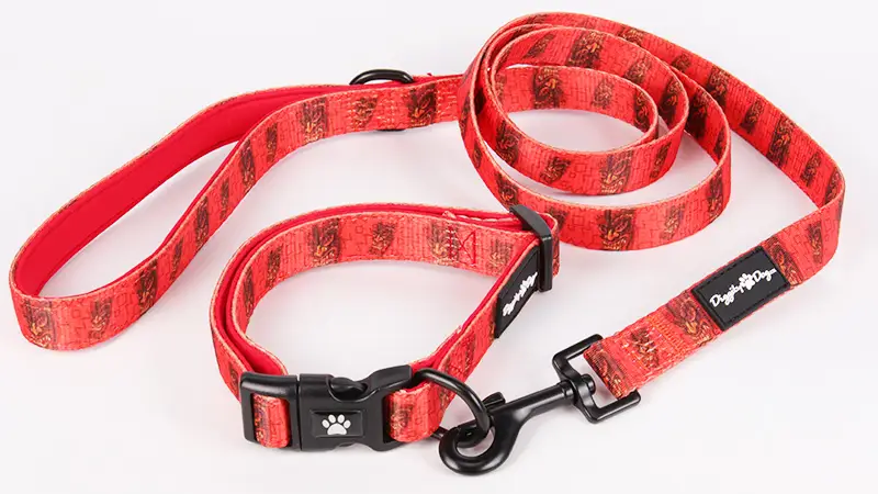 OKEYPETS Vörös Sárkány Mintás Kutyanyakörv és Póráz Szett 1