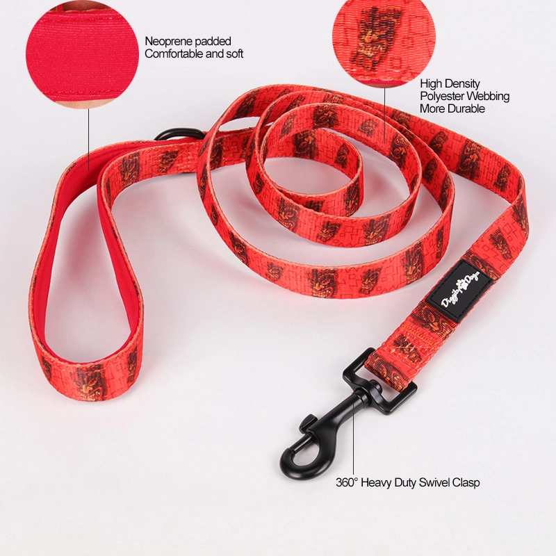 OKEYPETS Red Dragon Printing Puppy Collar and Leash Set 9
