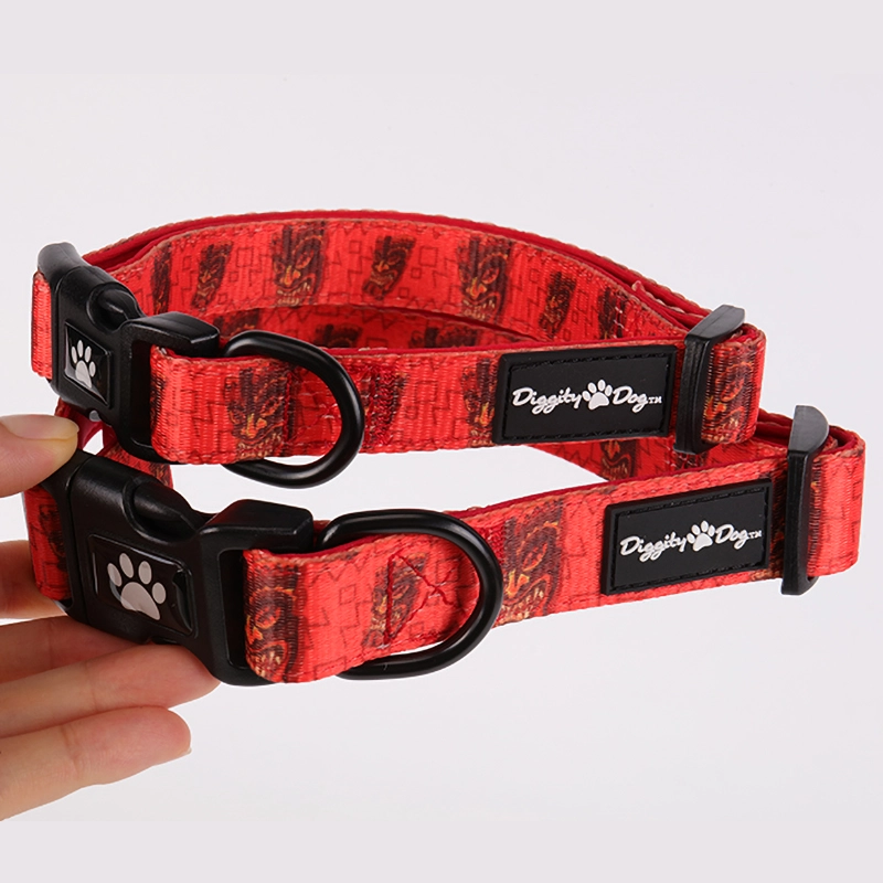 OKEYPETS Red Dragon Printing Puppy Collar and Leash Set 10