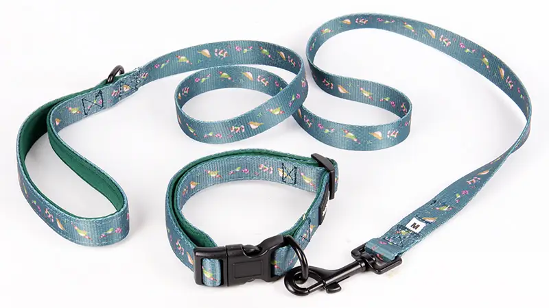 Colliers et laisses pour chiens personnalisés OKEYPETS, imprimés fleurs printanières noires et vertes avec oiseaux 1