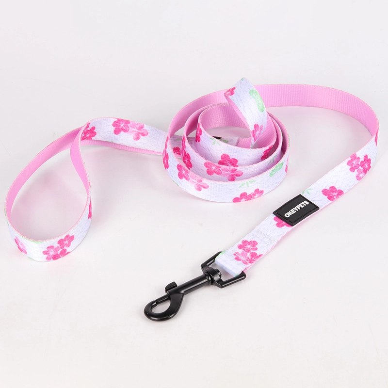 OKEYPETS Collier et laisse pour chien en sangle blanche imprimé floral rose 12
