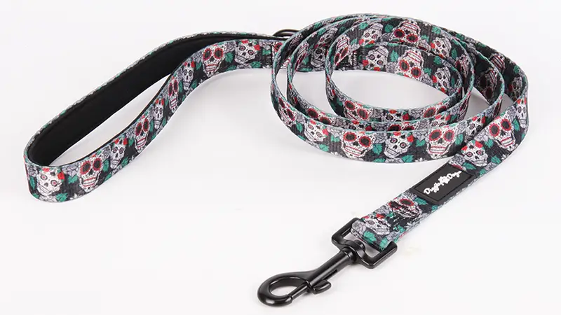 Fabricant de laisses pour chiens à Guangzhou OKEYPETS Laisse d'extérieur pour chiens pour la promenade et la course 1