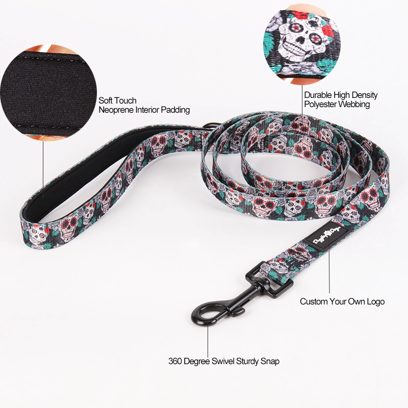 Fabricant de laisses pour chiens à Guangzhou OKEYPETS Laisse d'extérieur pour chiens pour la promenade et la course 8