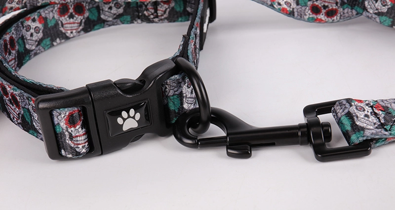Fabricant de laisses pour chiens à Guangzhou OKEYPETS Laisse d'extérieur pour chiens pour la promenade et la course 12