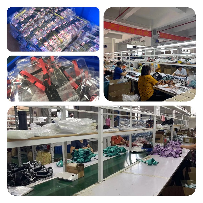 Fabricant de laisses pour chiens à Guangzhou OKEYPETS Laisse d'extérieur pour chiens pour la promenade et la course 20