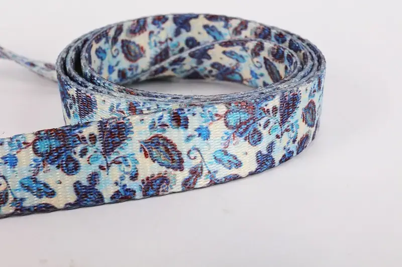 High-Quality Polyester Dog Leash with Handle and Matching Collar 3