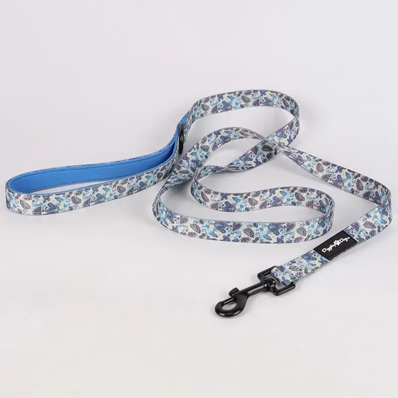 High-Quality Polyester Dog Leash with Handle and Matching Collar 2