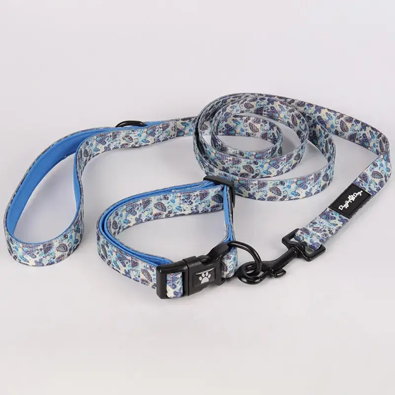 High-Quality Polyester Dog Leash with Handle and Matching Collar 7