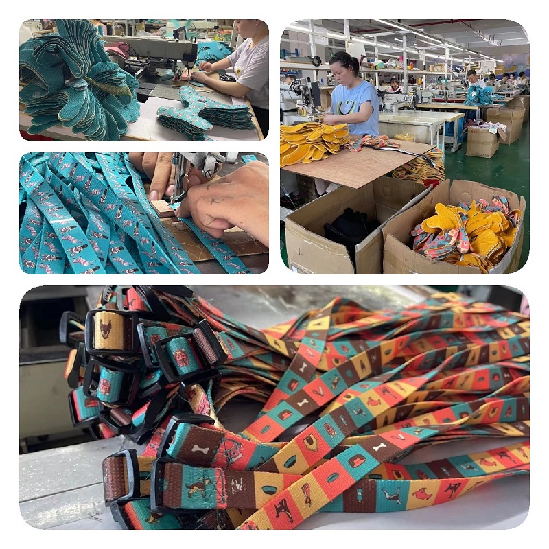 Fabricant de Guangzhou OKEYPETS Vente en gros OEM Laisse pour chien durable avec poignée 19