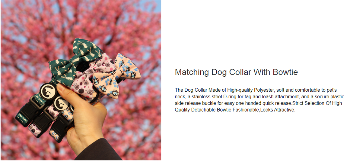 OKEYPETS Coloful Pattern Dog Harness Wholesale Neoprene No Pull Breathable Mesh Dog Harness 10