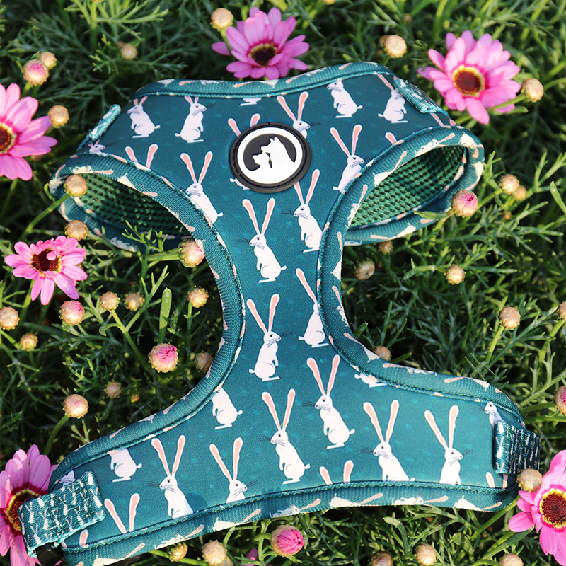 Harnais pour chien à motifs colorés OKEYPETS, vente en gros, en néoprène, anti-traction et respirant. 4