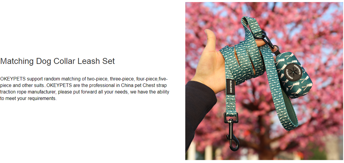 OKEYPETS Coloful Pattern Dog Harness Wholesale Neoprene No Pull Breathable Mesh Dog Harness 9