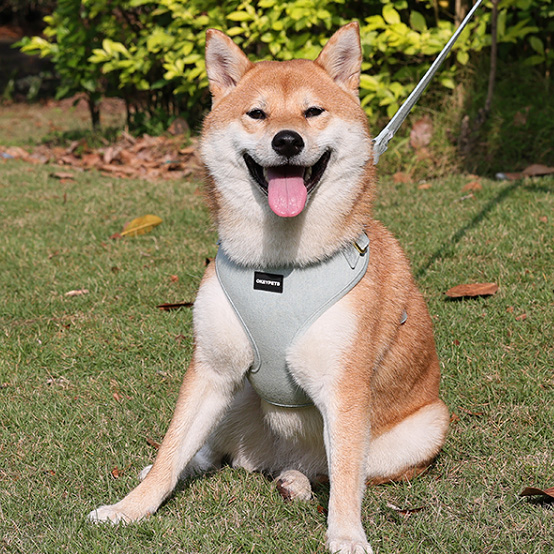 OKEYPETS Ensemble harnais de cowboy personnalisé en jean pour chien, laisse et collier, accessoires pour animaux de compagnie, harnais en denim tendance. 22