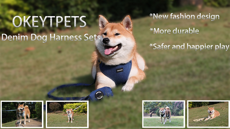 Types of Dog Harnesses & How to Choose 9
