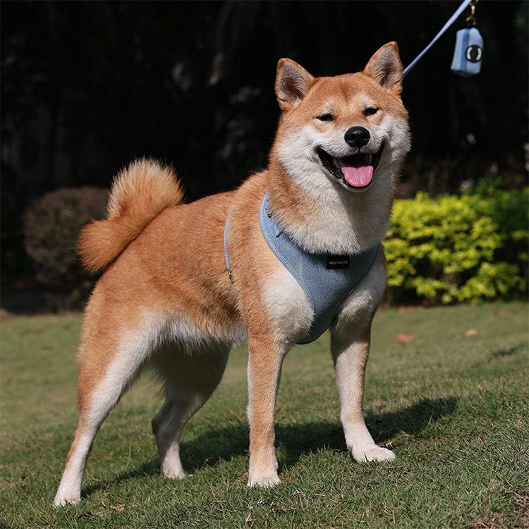 OKEYPETS Ensemble harnais de cowboy personnalisé en jean pour chien, laisse et collier, accessoires pour animaux de compagnie, harnais en denim tendance. 21