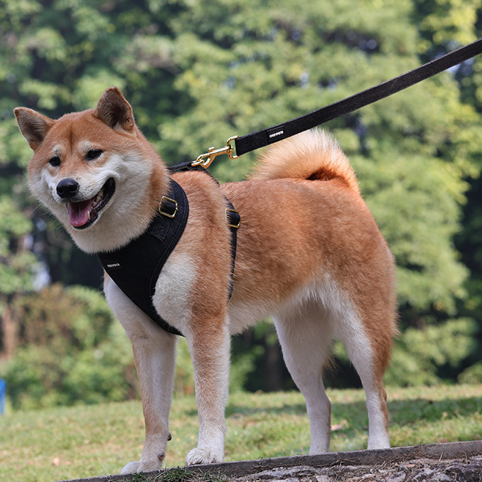 OKEYPETS Ensemble harnais de cowboy personnalisé en jean pour chien, laisse et collier, accessoires pour animaux de compagnie, harnais en denim tendance. 23