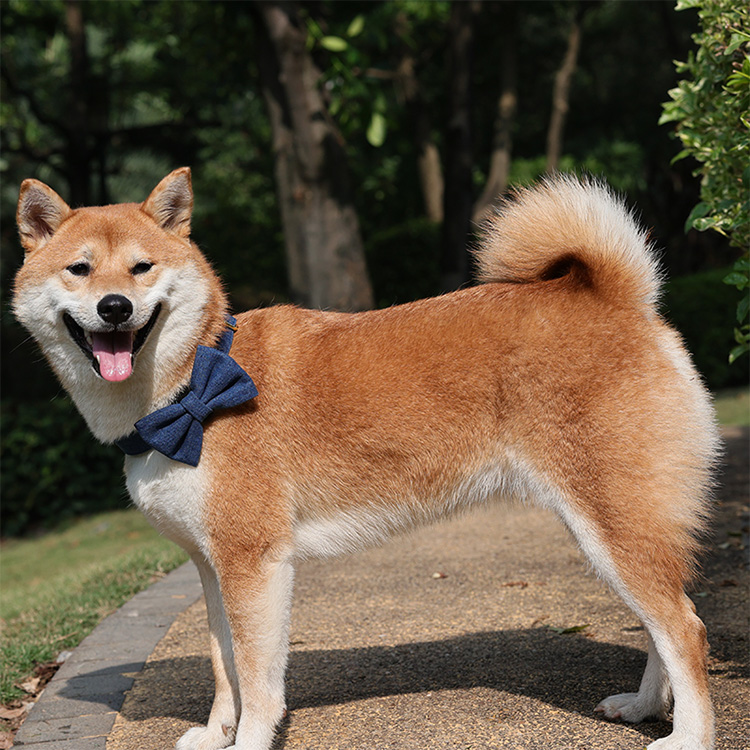 OKEYPETS Ensemble harnais de cowboy personnalisé en jean pour chien, laisse et collier, accessoires pour animaux de compagnie, harnais en denim tendance. 24