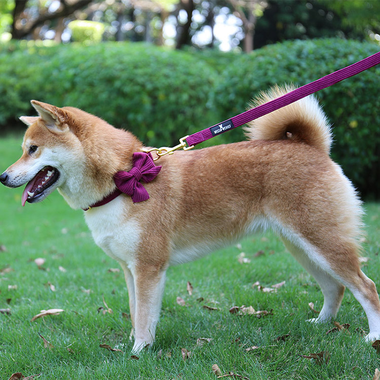 OKEYPETS Custom Corduroy Dog Harness Set-Soft  comfortable 14