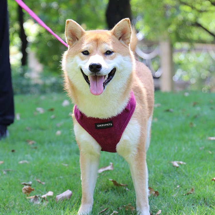 OKEYPETS Custom Corduroy Dog Harness Set-Soft  comfortable 11