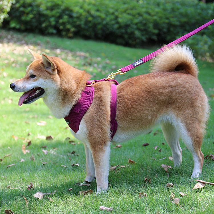 OKEYPETS Custom Corduroy Dog Harness Set-Soft  comfortable 12