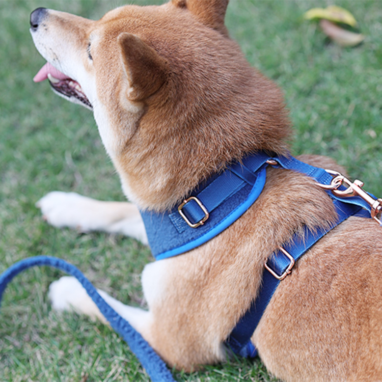 OKEYPETS Harnais de luxe pour chien, en sherpa ajustable, ensemble de harnais pour chien pur. 11