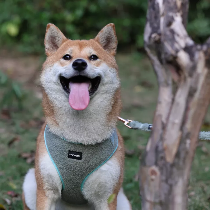 OKEYPETS Harnais de luxe pour chien, en sherpa ajustable, ensemble de harnais pour chien pur. 7