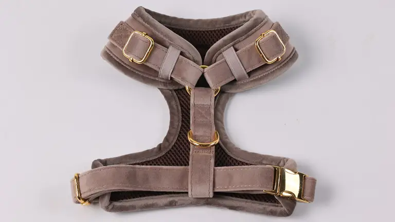 Harnais pour chien en velours doux avec logo et nœud papillon 1