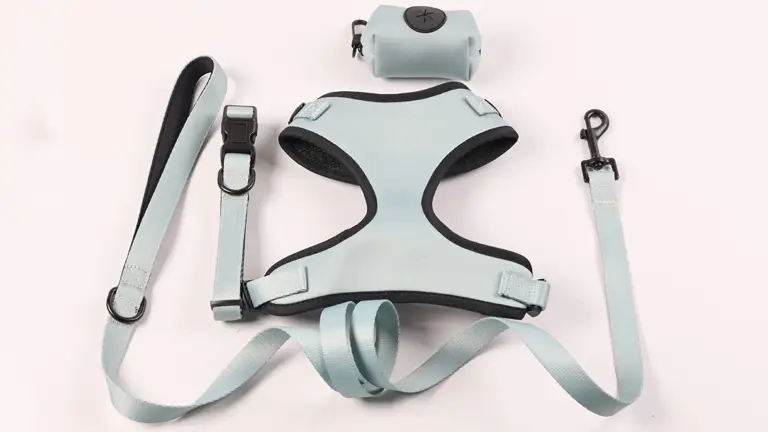 Harnais pour chien en néoprène solide, réglable et à ouverture rapide, avec boucle robuste, fabriqué en gros à partir d'usine. 1