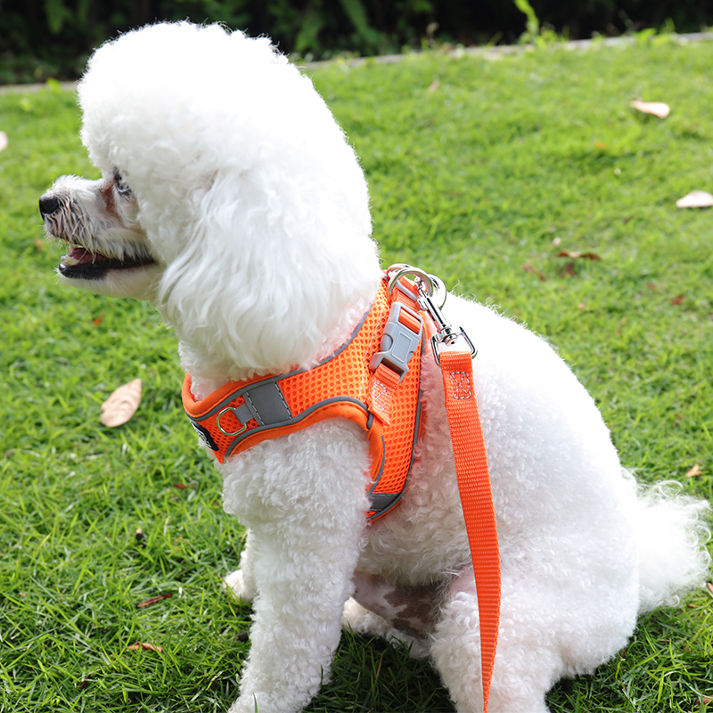 Harnais pour chiots en maille souple OKEYPETS, respirant et anti-traction 6