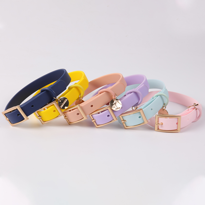 Collier souple en PVC avec étiquette nominative, collier et laisse réglables et imperméables pour chien, en vente en gros. 9