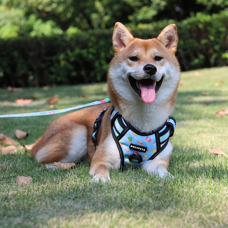 Harnais pour chien OKEYPETS Custom anti-traction, grand format, en Oxford, avec réflecteur, pour l'extérieur. 5