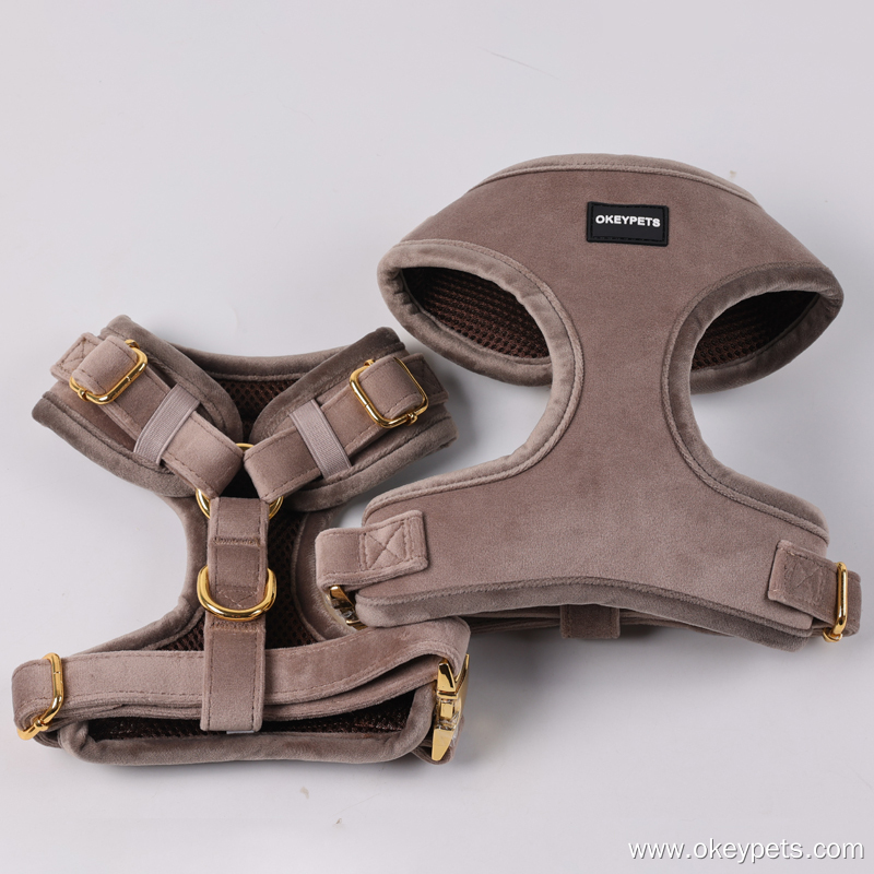 OKEYPETDS Harnais en velours pour chiot, collier en velours pour chien, laisse en velours avec accessoires métalliques 5