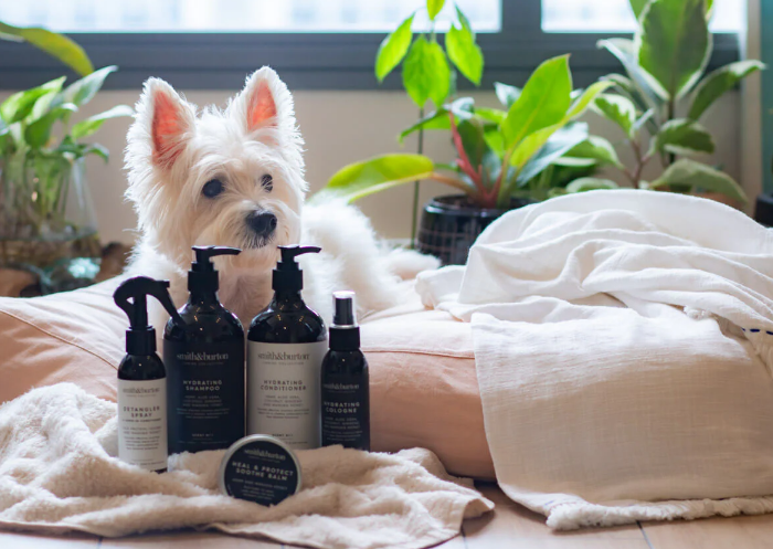 Liste de contrôle essentielle pour les nouveaux propriétaires de chiens 4