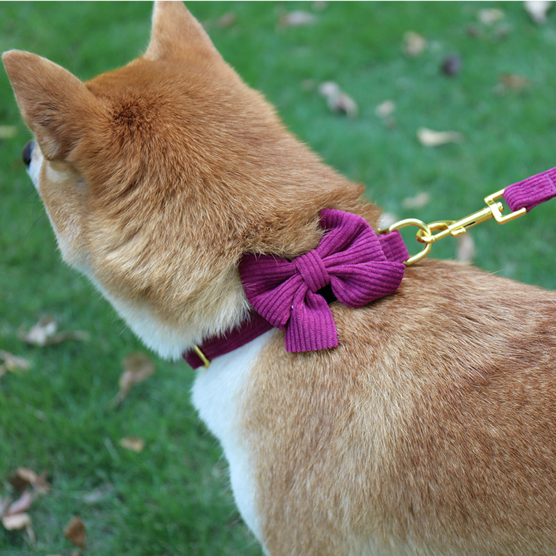OKEYPETS Custom Designer Dog Harness Leash Pet Collar Cute Personalized Corduroy Dog Harness Set 15