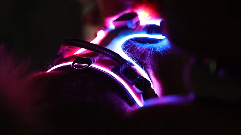 OKEYPETS Harnais pour chien rechargeable USB, vente en gros, harnais LED pour chiens de taille moyenne 1