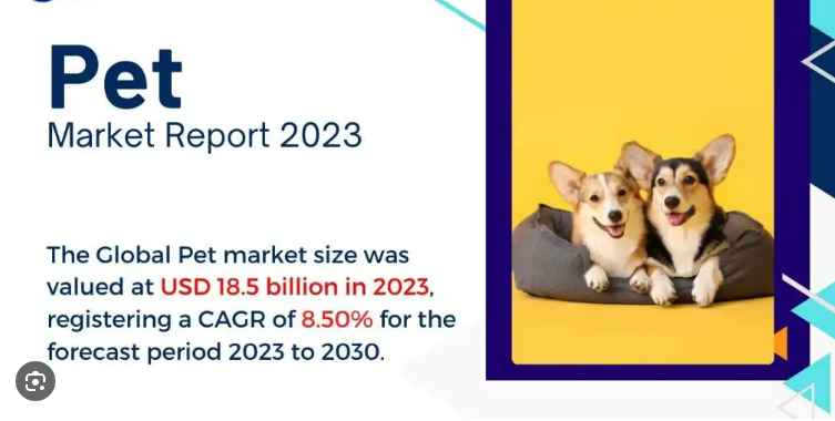 Tendances des fournitures pour animaux de compagnie jusqu'en 2024 2