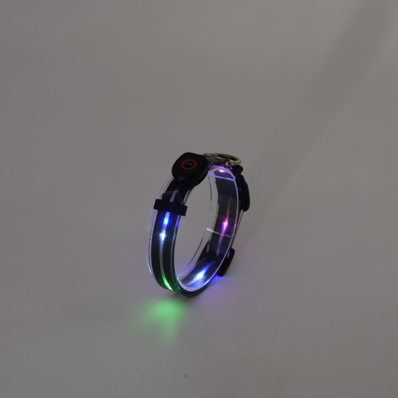 Collier lumineux pour chien pour les promenades nocturnes, collier LED rechargeable à couleurs changeantes 10