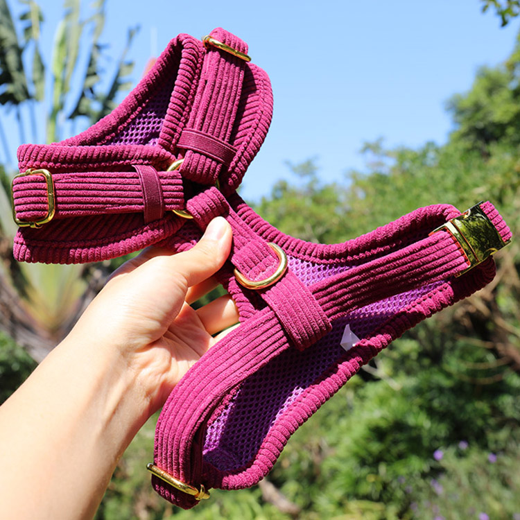 Ensemble harnais pour chien en velours côtelé bleu foncé, pour chiens de petite et moyenne race 5