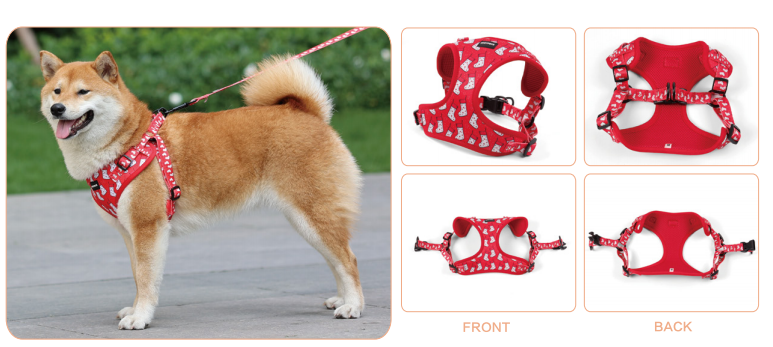 Combien de harnais OKEYPETS possède-t-il ? 4