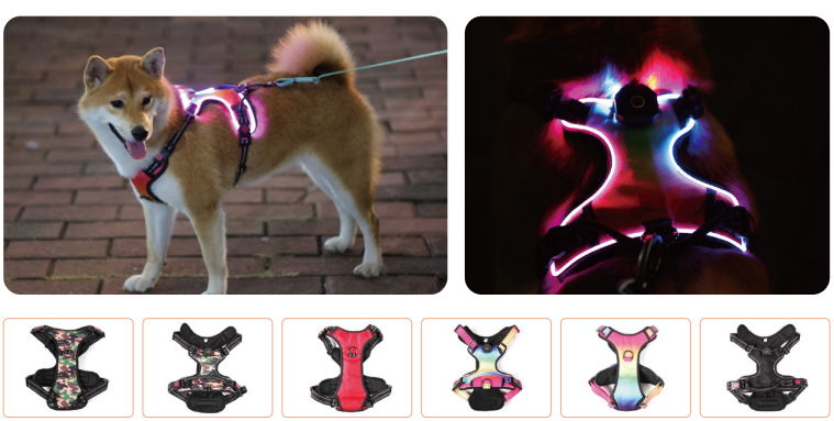 Combien de harnais OKEYPETS possède-t-il ? 10