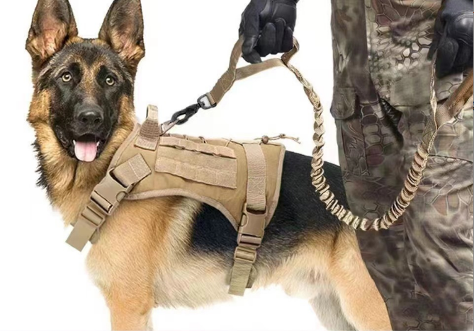 Combien de harnais OKEYPETS possède-t-il ? 8