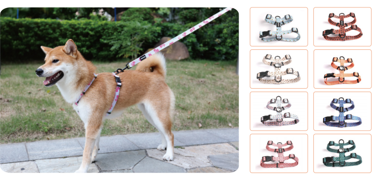 Combien de harnais OKEYPETS possède-t-il ? 9