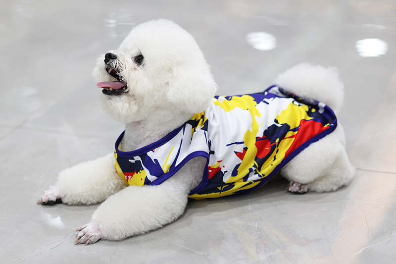 Le 2 février, le dragon lève la tête, bonne chance ^^ 2