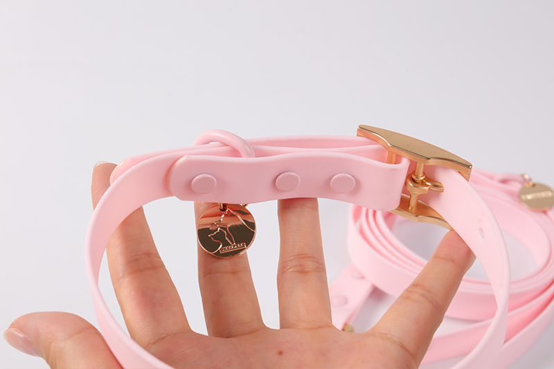 Ensemble de colliers et laisses pour chiens en gros, laisse d'extérieur en PVC, laisse pour chien de course 10