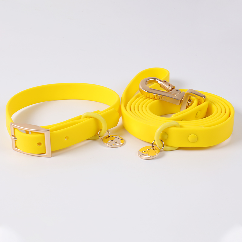 Ensemble de colliers et laisses pour chiens en gros, laisse d'extérieur en PVC, laisse pour chien de course 3