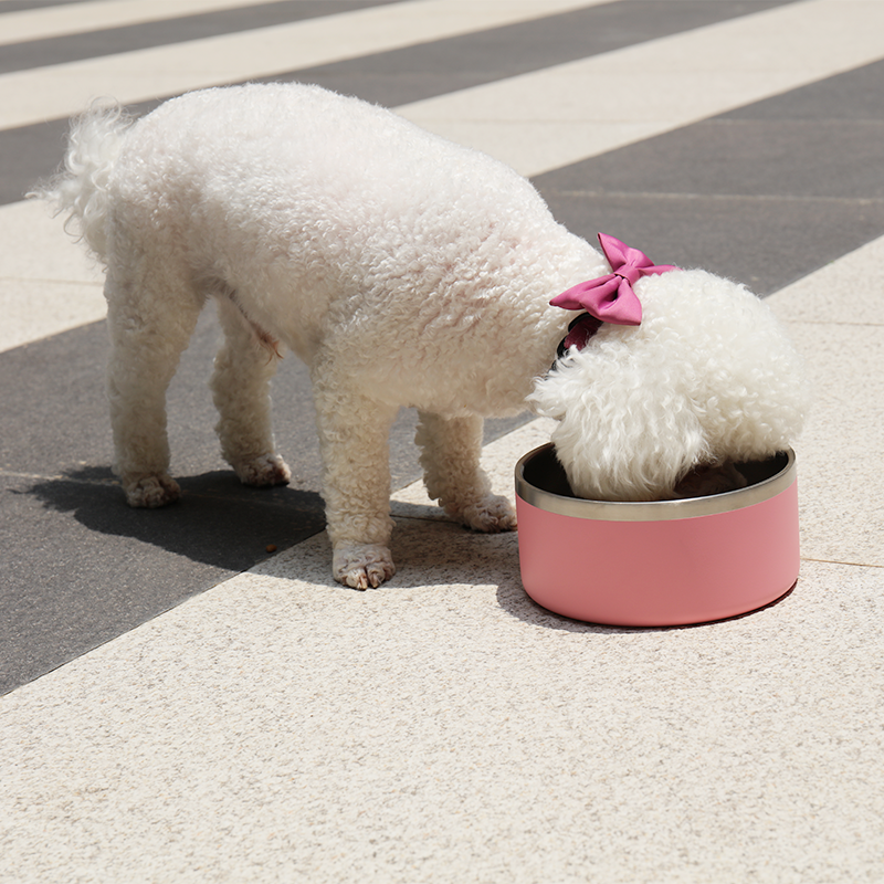 موردون ومصنعون لأوعية طعام وماء الكلاب المصنوعة من الفولاذ المقاوم للصدأ، مانعة للانزلاق، ومعزولة بجدار مزدوج | OKEYPETS 18
