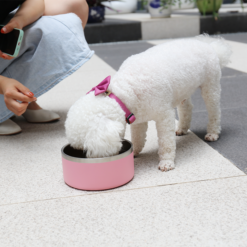 موردون ومصنعون لأوعية طعام وماء الكلاب المصنوعة من الفولاذ المقاوم للصدأ، مانعة للانزلاق، ومعزولة بجدار مزدوج | OKEYPETS 19