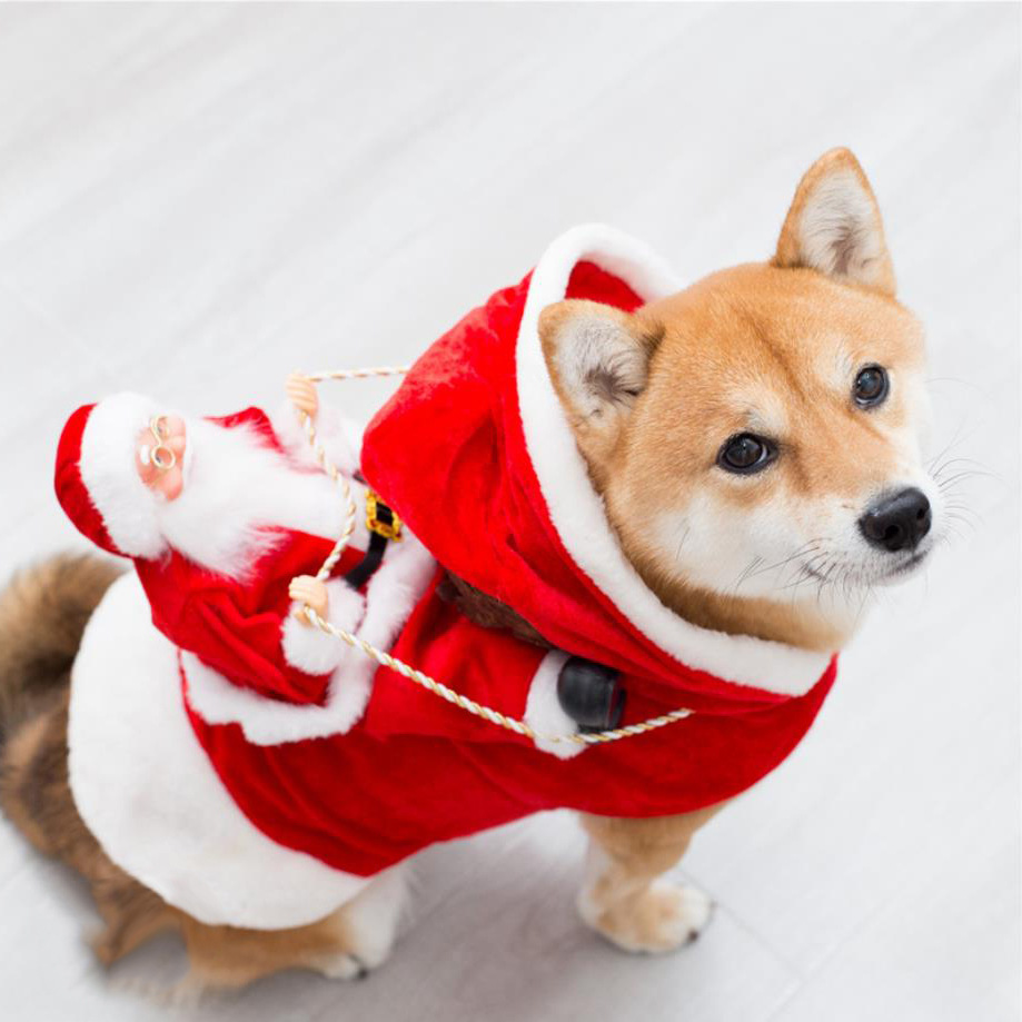 Vêtements de Noël et d'Halloween pour chiens en gros, vêtements mignons pour chiens de petite, moyenne et grande taille, vêtements de luxe pour chiens 7